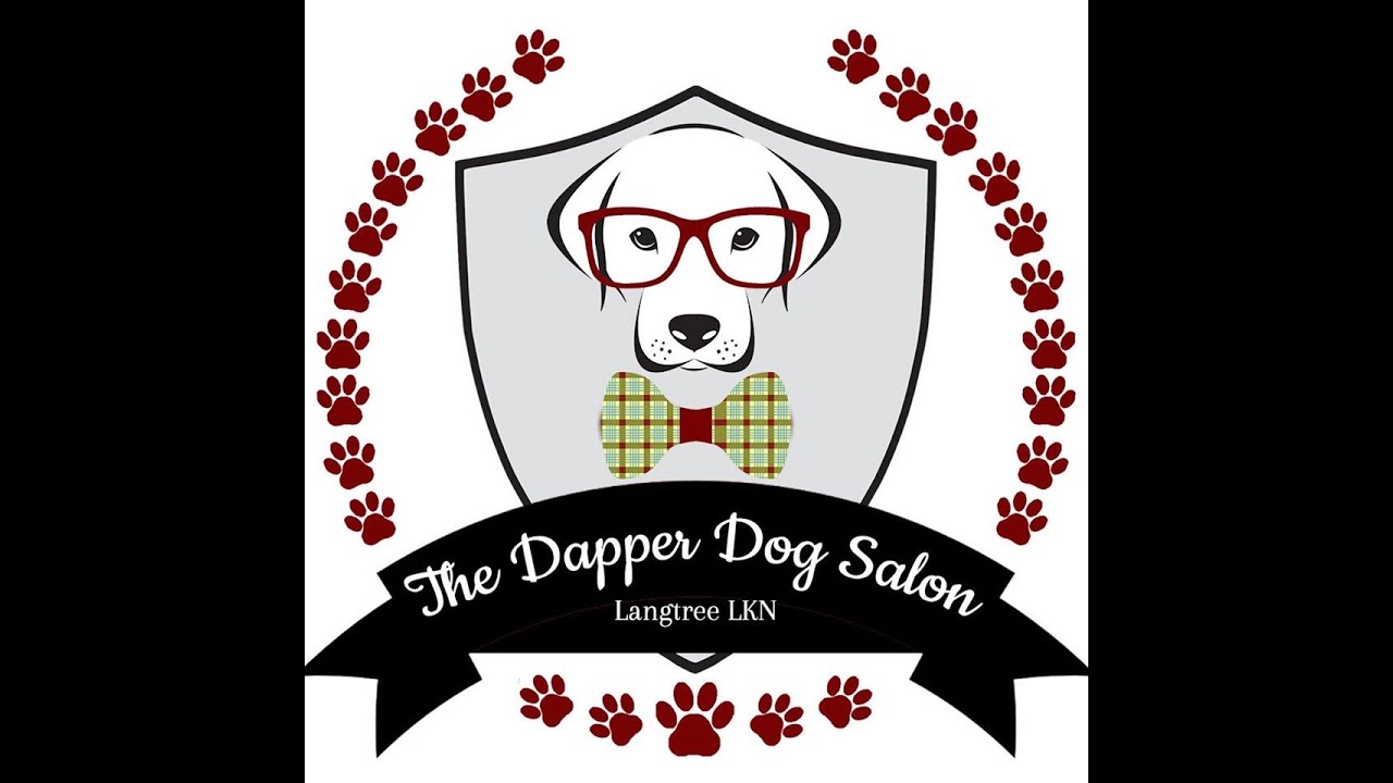 The Dapper Dog - YouTube