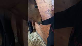 Scratch my back, I’ll scratch your….arm