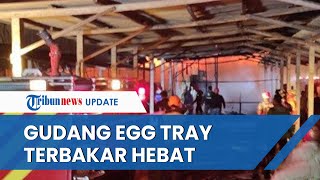 Detik detik Gudang Egg Tray di Blitar Terbakar Hebat, 7 Mobil Pemadam Kebakaran Dikerahkan