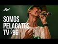 Capture de la vidéo Somos Pelagatos Tv - Prog 96 - @Lenobanton, @Zonaganjahoficial, The Green, Sinsemilia & Más