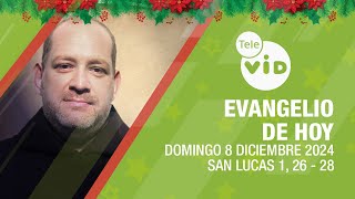 El Evangelio De Hoy Domingo 8 Diciembre De 2024