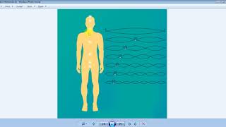 The Overtone Series and the System of the Chakra