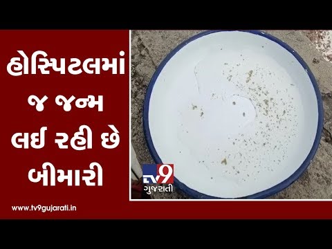 Ahmedabad: Health dept slapped fine to hospitals over inaction towards mosquito breeding