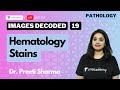 Images decoded episode 19- hematology stains with Dr. Preeti Sharma