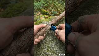 Can A Tiny Bosch Chainsaw Cut A Thick Branch On Stone?