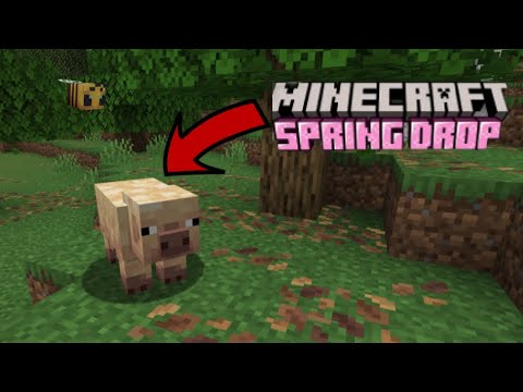 Newspring Event Minecraft Minecraft's 1.22 Spring Update! With NEW Pigs, Leaves, Flowers and so ...
