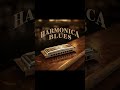 Honey Drop Swing #harmonicablues #bluesharmonica #harmonica #blues