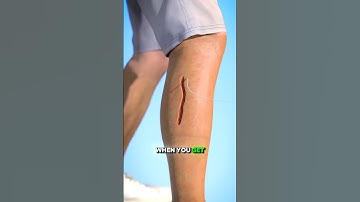 How Stitches Heal | Quick Breakdown