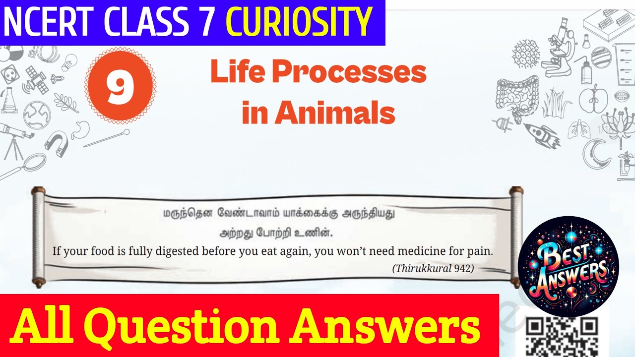 NCERT Class 7 Science Curiosity Chapter 9 Question Answers| Life Process in Animals|Study With Deep 