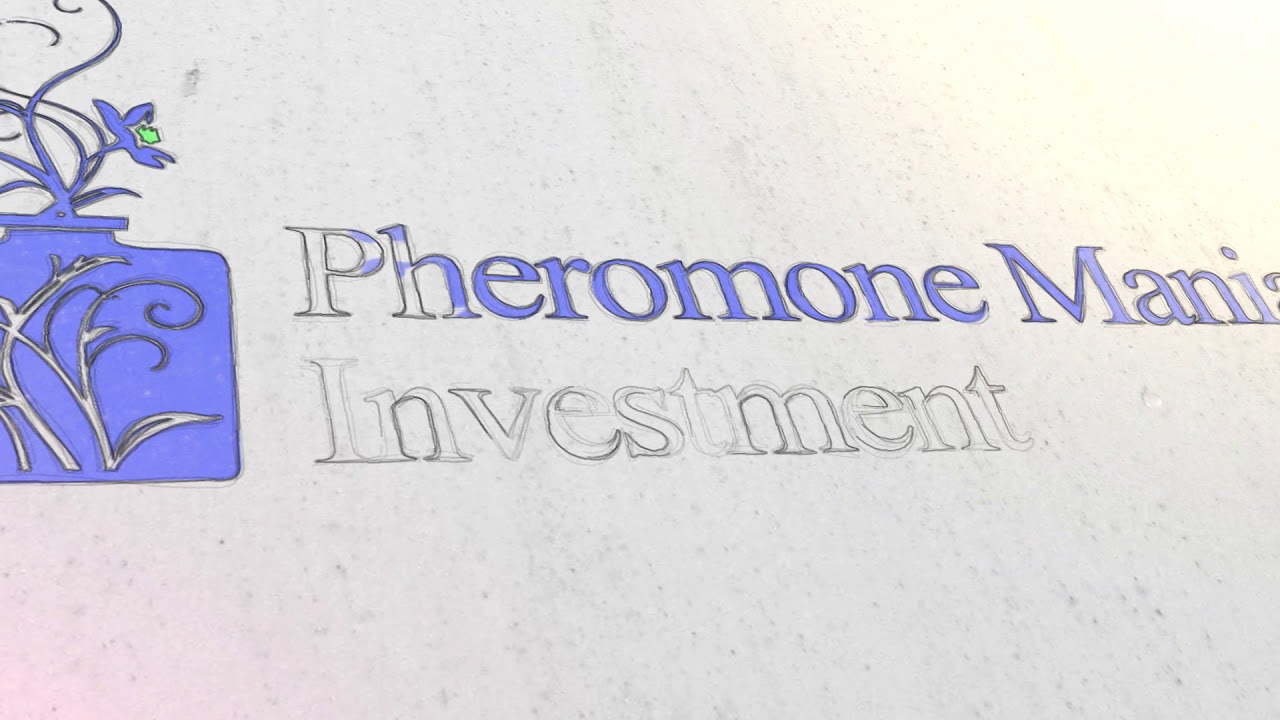 Заказать Видео для ХАЙП проекта. Студия сервис Star-gross