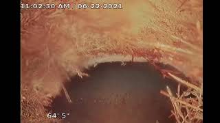 E Girard Pl Sewer