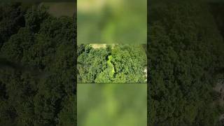 Tree gap practice #fpv #drone #fpvdrone #fpvfreestyle