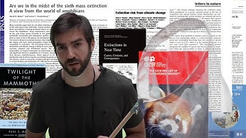 Towards a Mechanic Understanding of Biodiversity