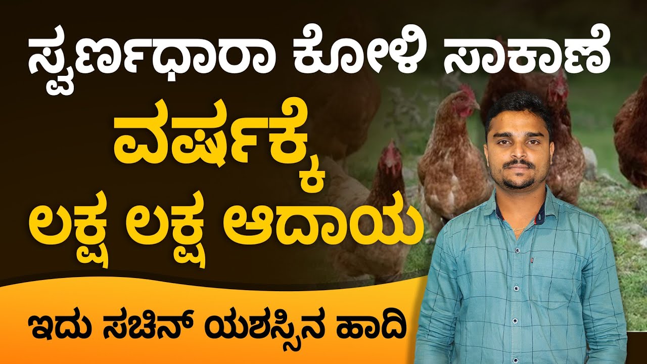 Success Formula to Swarnadhara Poultry Farming | Learn from Sachin |  ffreedom Show