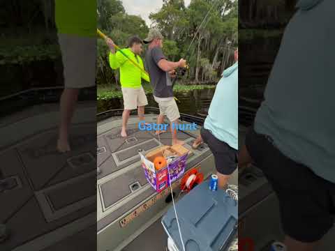 Gator hunt in FL #swamplife #floridalife #orlando #fishing #floridaoutdoors #floridaman #hunting