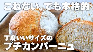 No Kneading] How to Make Authentic Petit Campagne, Using a Ziploc