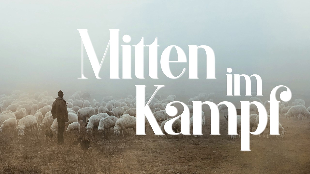 Ein gedeckter Tisch mitten im Kampf | Reto Pelli