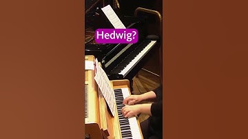 Thumbnail of Do you know this instrument? #harrypotter #classicalmusic