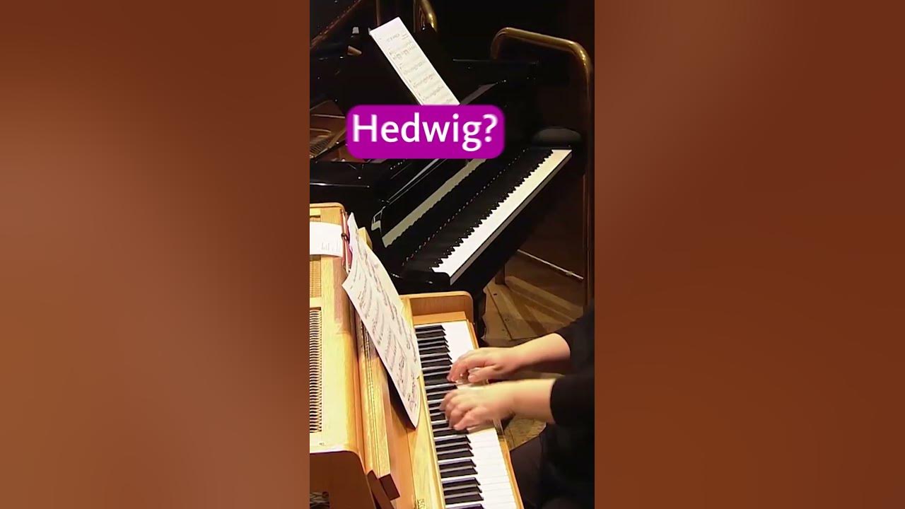 Do you know this instrument? #harrypotter #classicalmusic Do you know this instrument? #harrypotter #classicalmusic