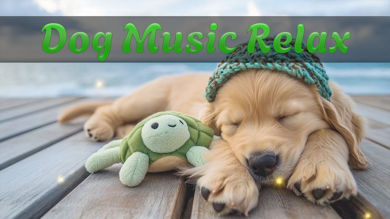 Музыка для глубокого сна для собак 🌙🐶 Успокаивающие треки | Снятие тревоги разлуки и стресса