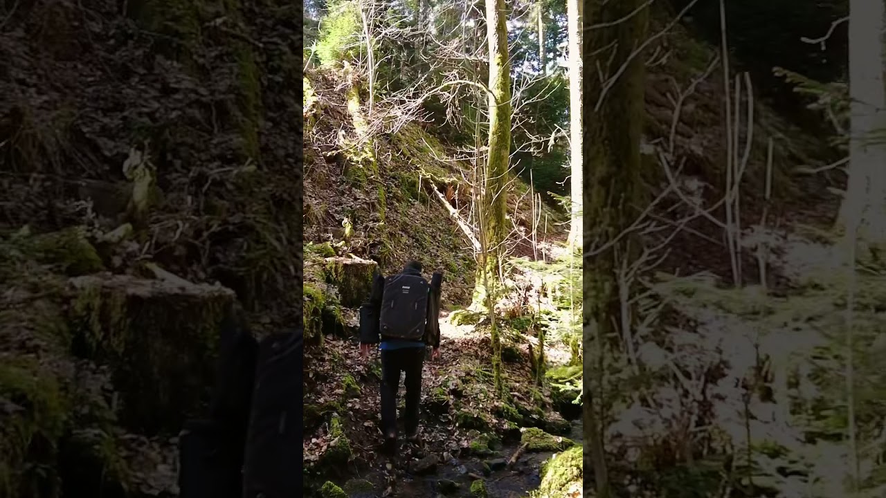 Do you know this secret place in the Black Forest in Germany? 