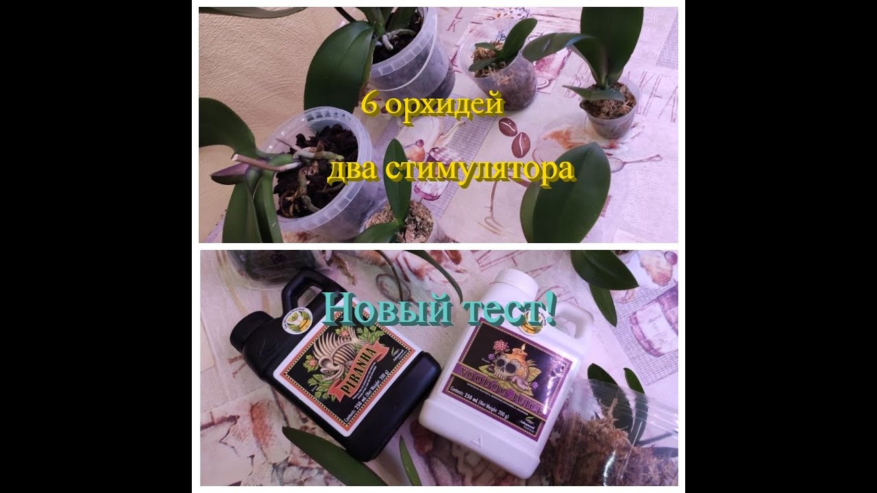 Впервые!💥! Стимуляторы которых не было. Стимуляторы корнеобразования🔥💪.