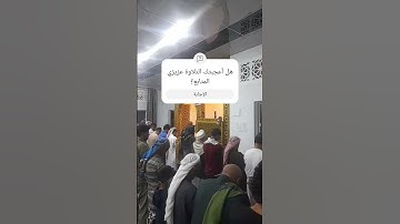 تلاوة خاشعة القارئ|محمد وليد الشرعبي "القرآن الكريم راحة نفسية"