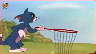 Cartoons For Kids   Tom and Jerry Episode 90   Southbound Duckling Part 2