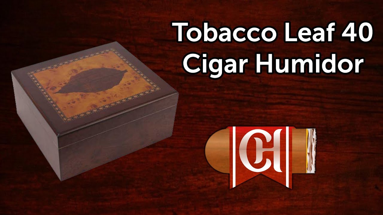 Tobacco Leaf 40 Cigar Humidor YouTube