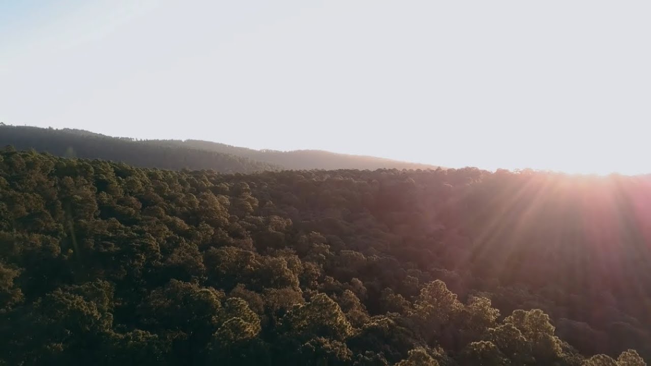 Nature Cinematic Video || B-Roll || Vishal Dhiman ||