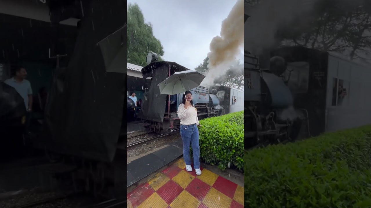 Queen of hills Darjeeling 😍✨✨