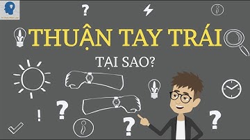 Tổng hợp những kiến thức thú vị - TẬP 1 | Những kiến thức có thể bạn chưa biết | Tri thức nhân loại