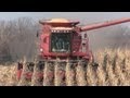 Galusha Farm - Case IH 2388 Combine on November 15, 2012