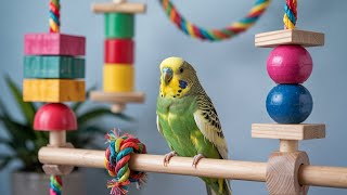 Best Bird Toys For A Happy And Healthy Pet Bird Must-Have Bird Toys 2025