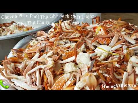 Video Cung cấp thịt cua, thị ghẹ tại Tphcm, Mua thịt cua,... - youtube