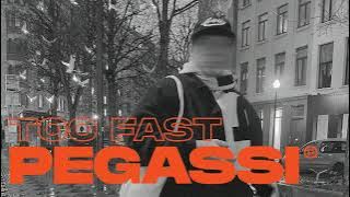 Sonder - Too Fast (Pegassi Remix)