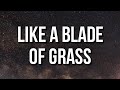 Jack Harlow - Like A Blade Of Grass (Lyrics)