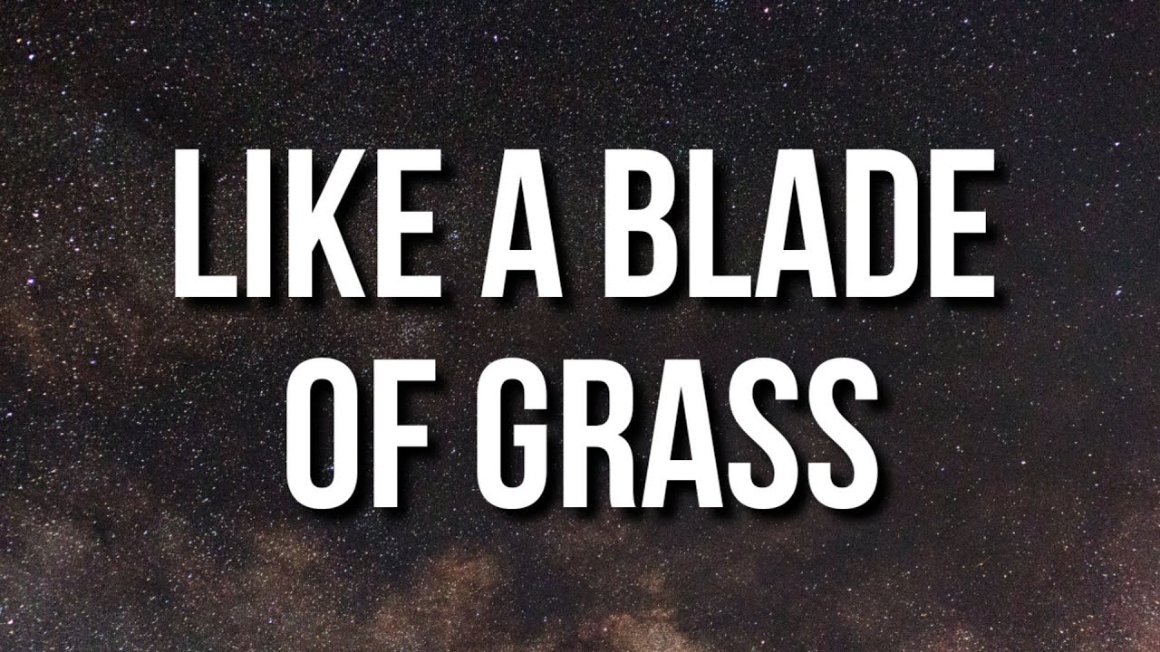 Jack Harlow Like A Blade Of Grass (Lyrics) YouTube