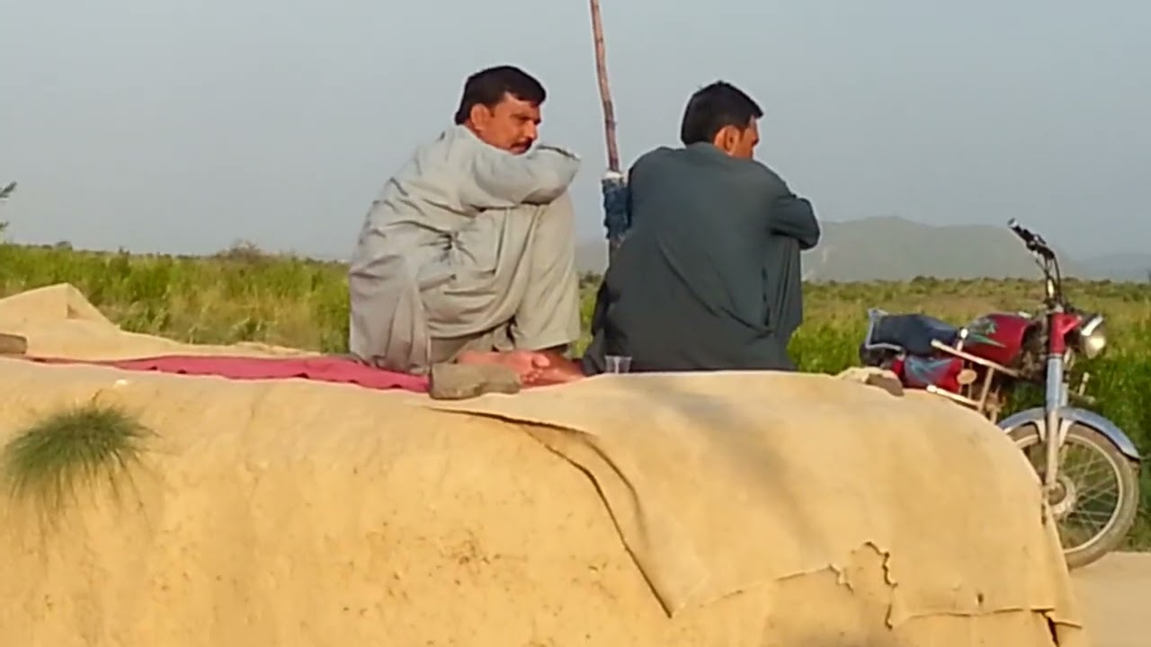 نغمه راحت استاذ 