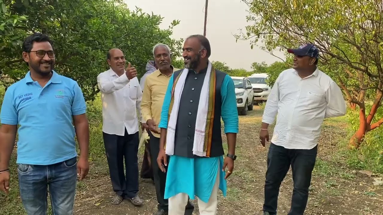 SCTवैदिक🍋मोसंबी 200 kg/ झाड पिकवायचे तंत्र जाणून घ्या राम सरांकडून॥केमिकल/वैदिकचा प्लॉट समोरासमोर