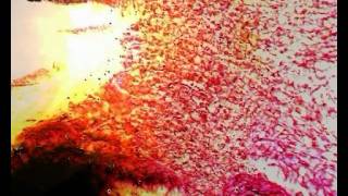 eflower distant cry video 2008.avi