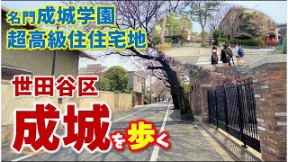 【成城】世田谷区代表！松濤、田園調布に次ぐ高級住宅地として名高い成城を歩きます