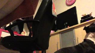 My Little Staffordshire Bull Terrier