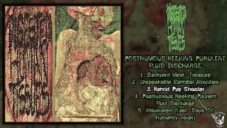 Digested Human Tissues - Posthumous Reeking Purulent Fluid Discharge FULL EP (2025 - Goregrind)