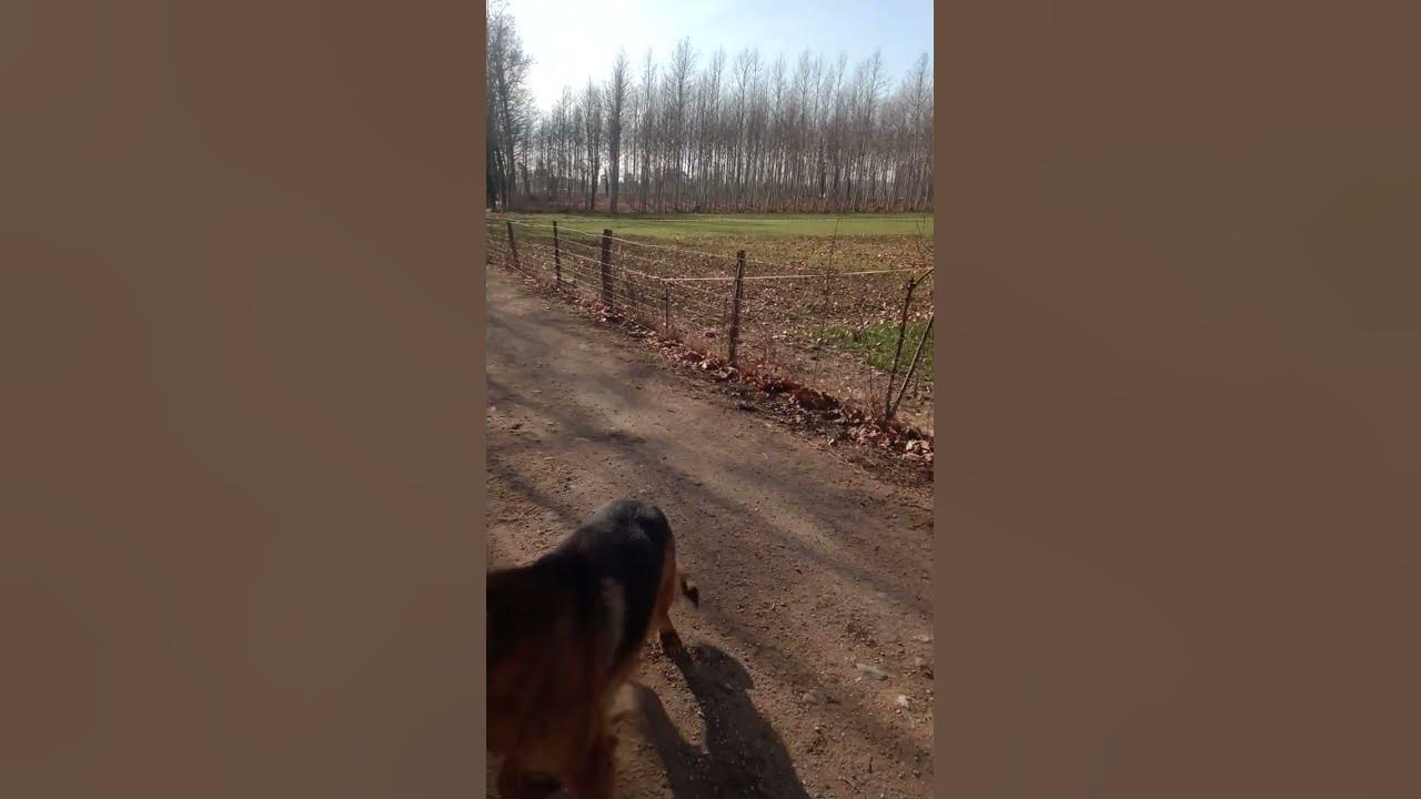 Сальт - YouTube