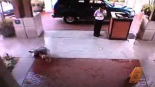 Valet Fail, Funny Fail