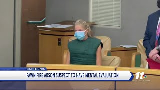 FAWN FIRE ARSON SUSPECT TO HAVE MENTAL EVALUATION