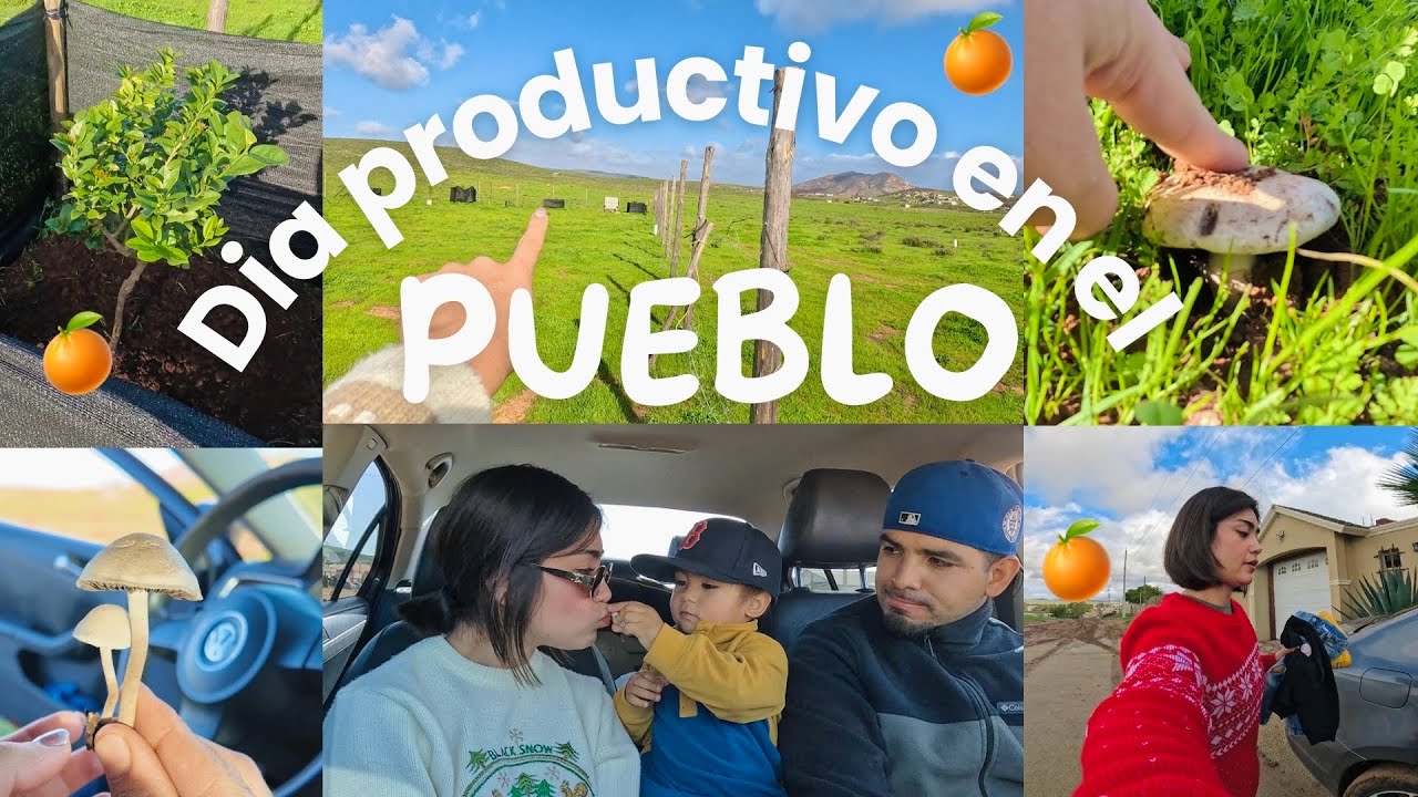 Probando la GoPro🎥 || vlogcito productivo ✨🍊🍃