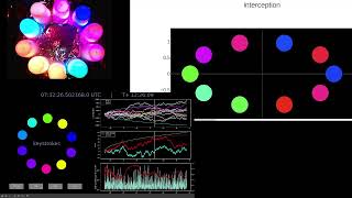 Lyfting for Science Live Data Stream: Hybrid-Quantum Computing Time Dilation Clock
