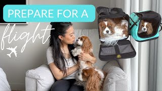 HOW TO FLY WITH YOUR DOG // Preparing for an international flight as Pet in Cabin (non ESA)